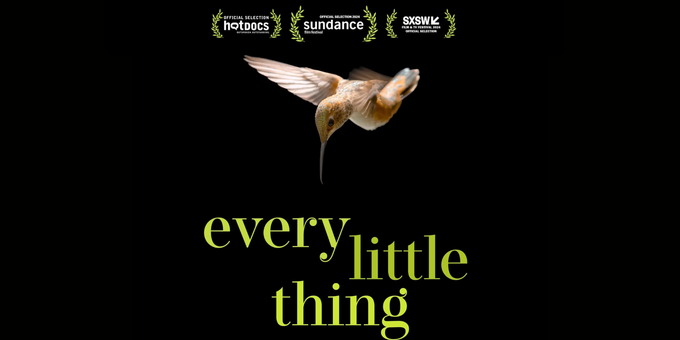 Every Little Thing