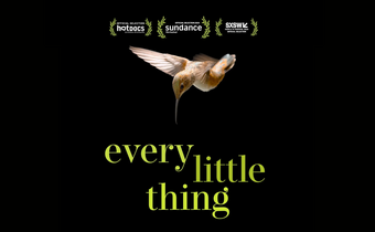 Every Little Thing