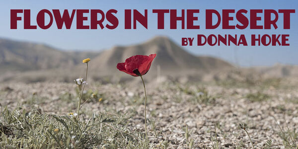 Flowers In The Desert Web Banner