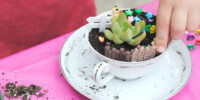 Fairy teacup
