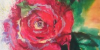 Rose garden