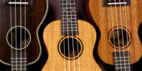 Ukuleles Cotuit 1